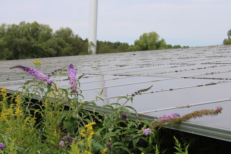 Zonnepanelen Financieren: Lening, Hypotheek of Spaargeld?